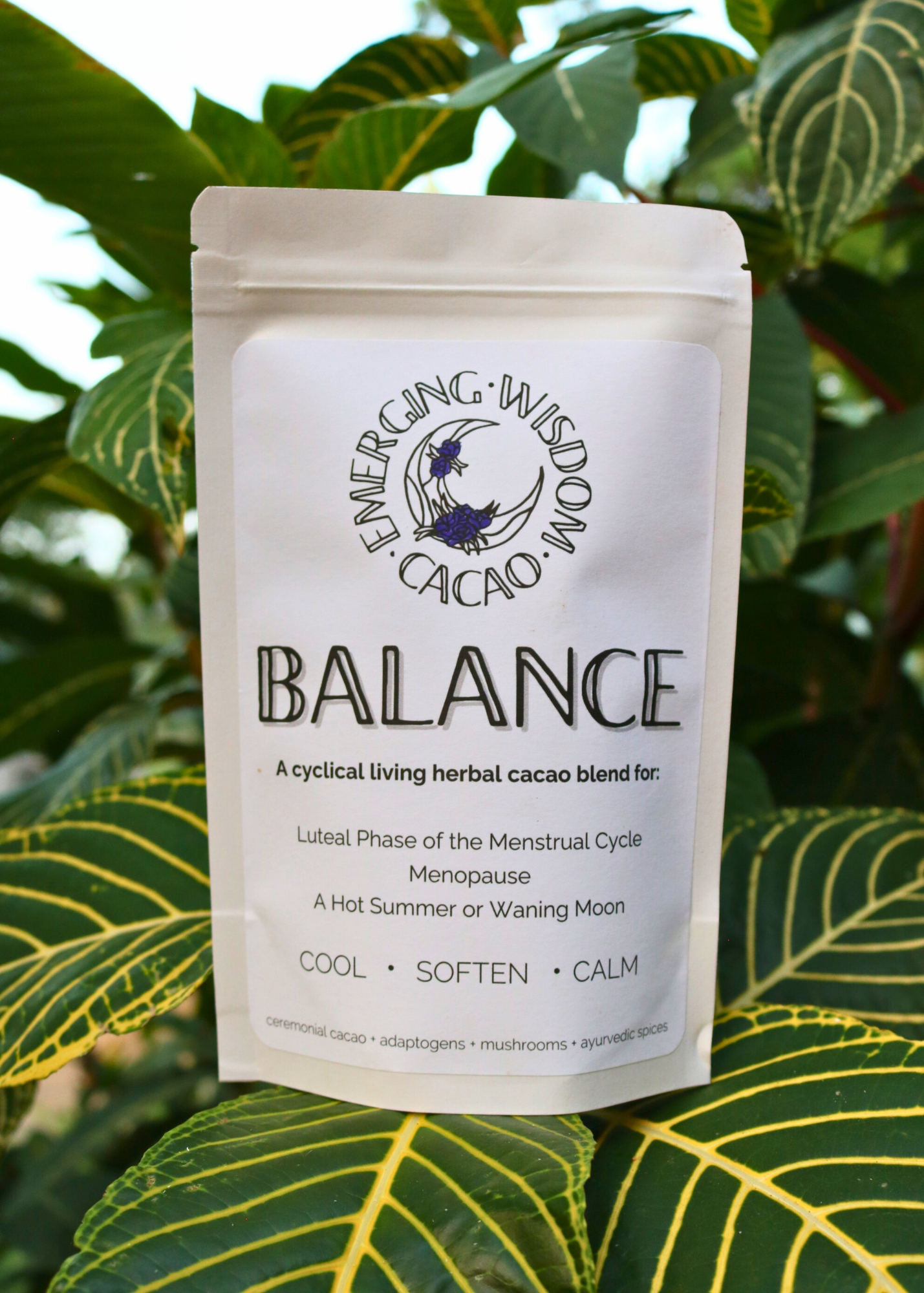 BALANCE Ceremonial Cacao Blend- Luteal/ Waning Moon/ Summer