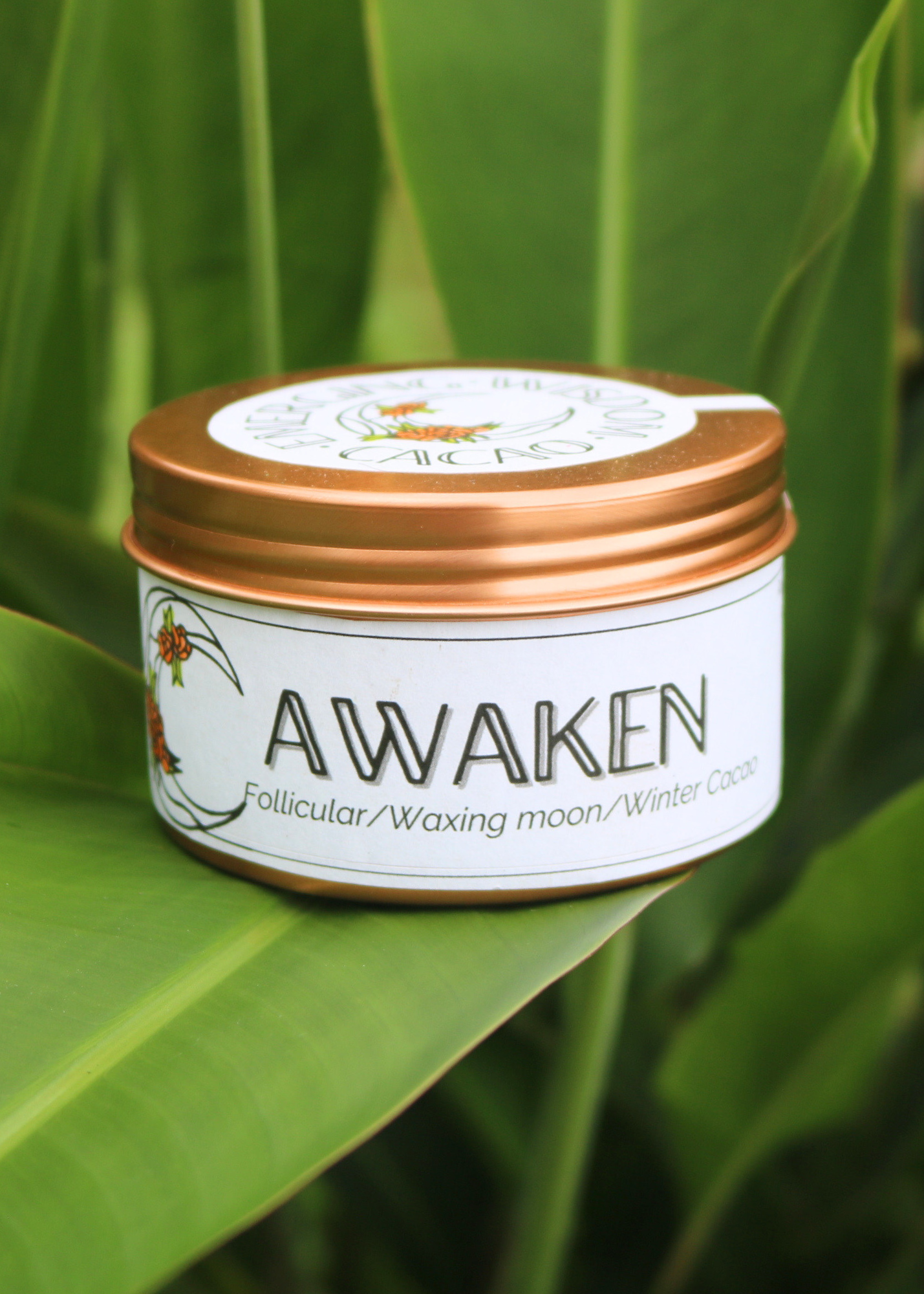 AWAKEN Ceremonial Cacao Blend Follicular Phase / Winter