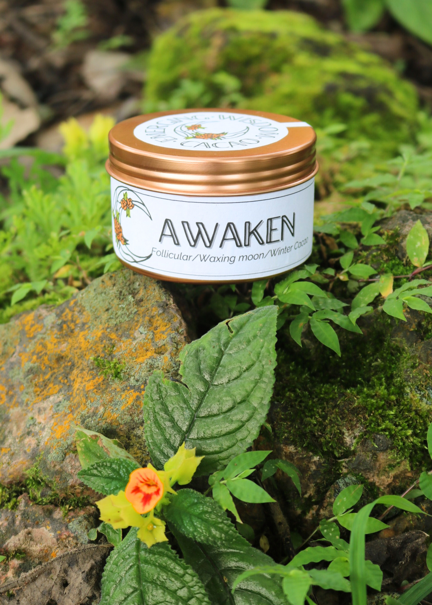 AWAKEN Ceremonial Cacao Blend Follicular Phase / Winter