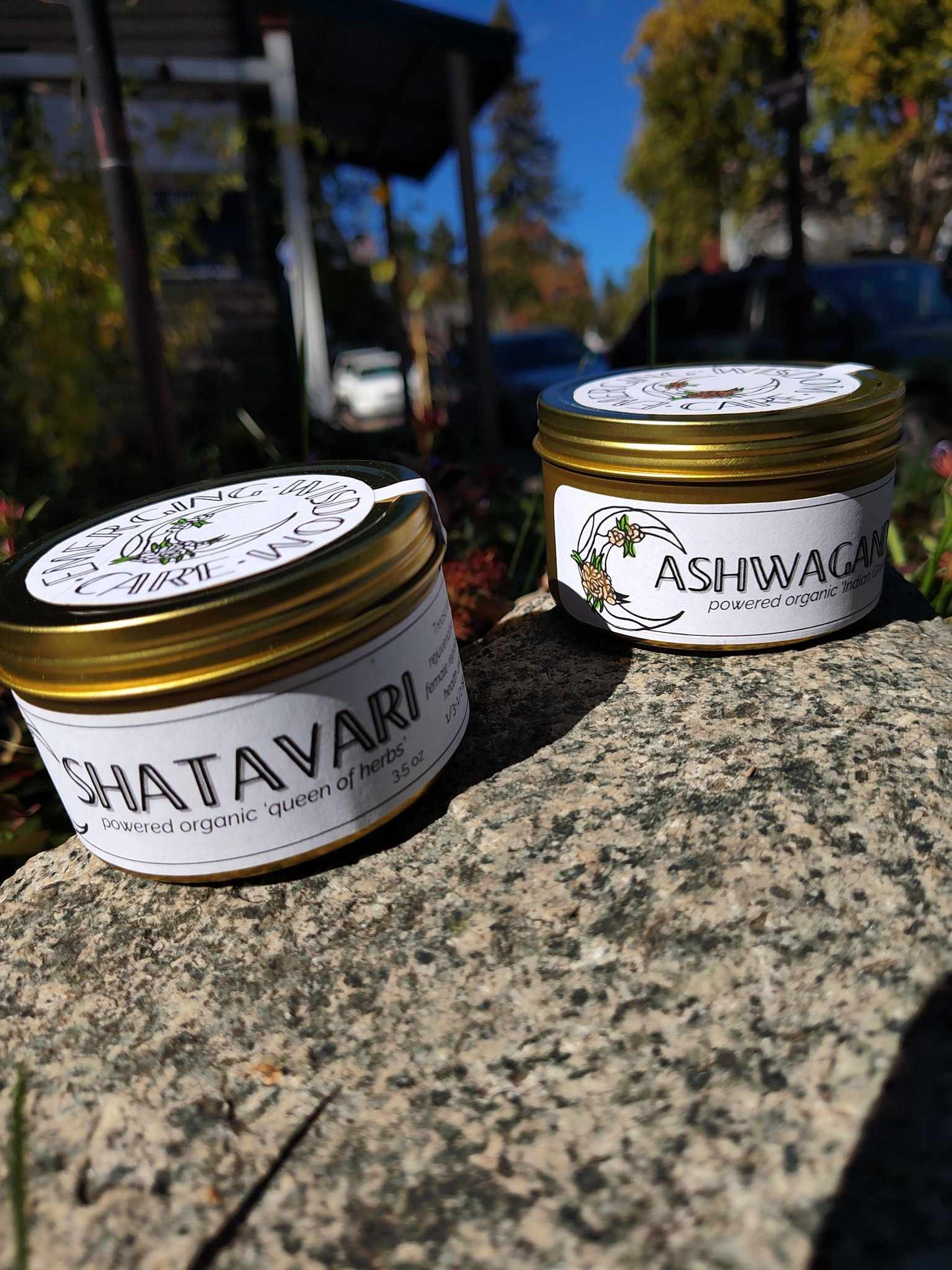 Shatavari powder