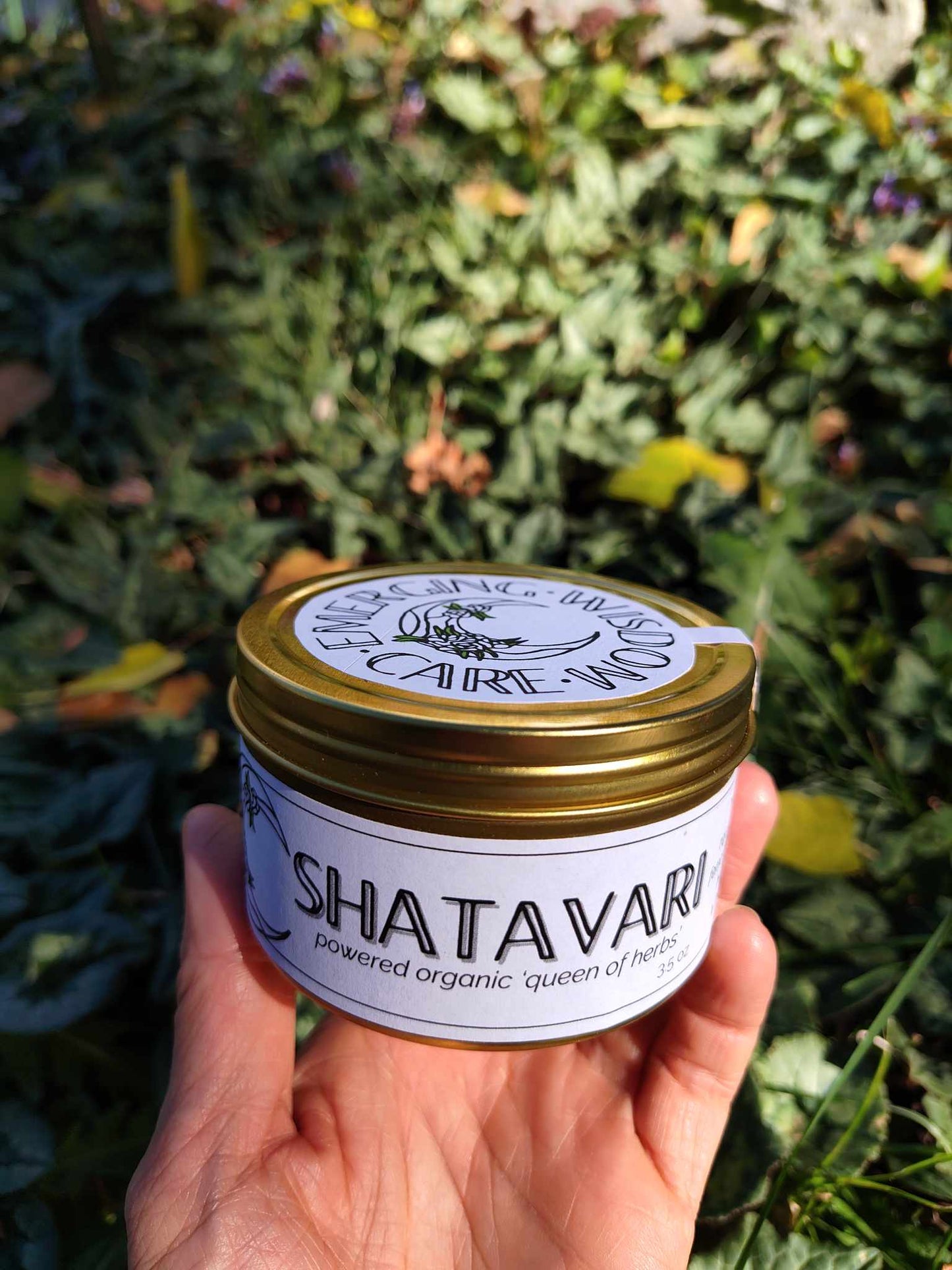 Shatavari powder