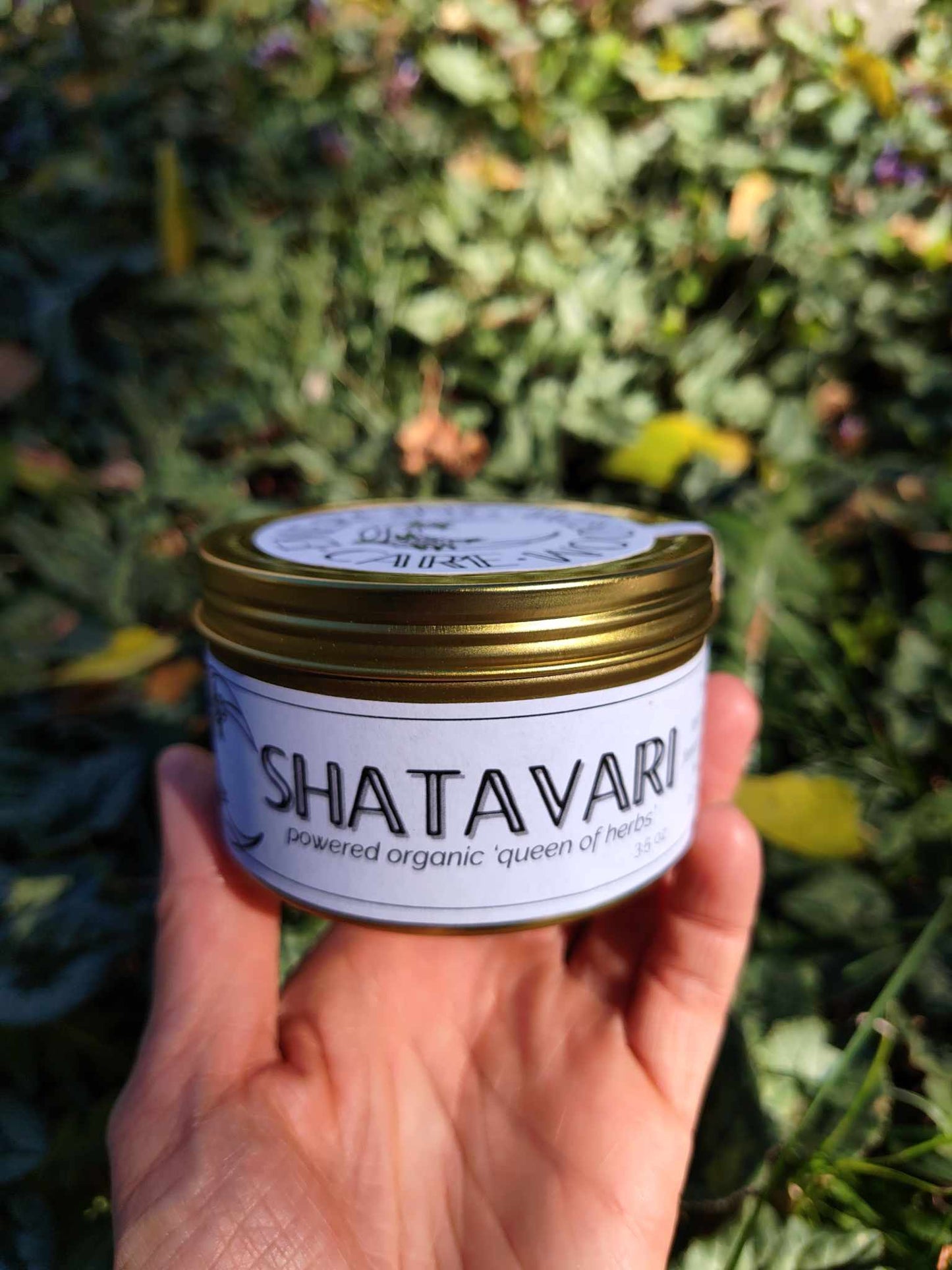 Shatavari powder