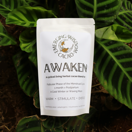 AWAKEN Ceremonial Cacao Blend Follicular Phase / Winter